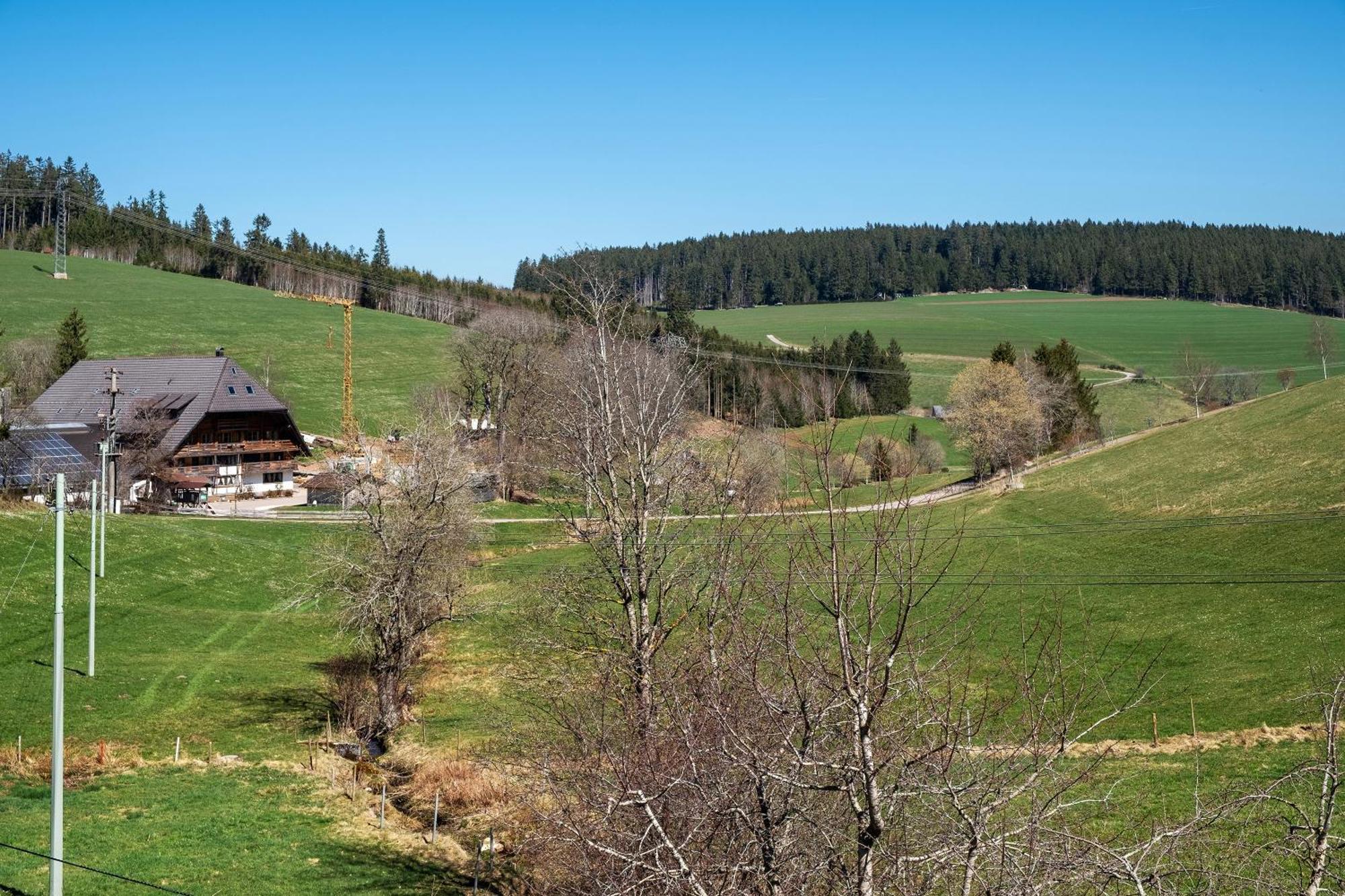 Ferienwohnung Armbruster Sankt Georgen im Schwarzwald Esterno foto